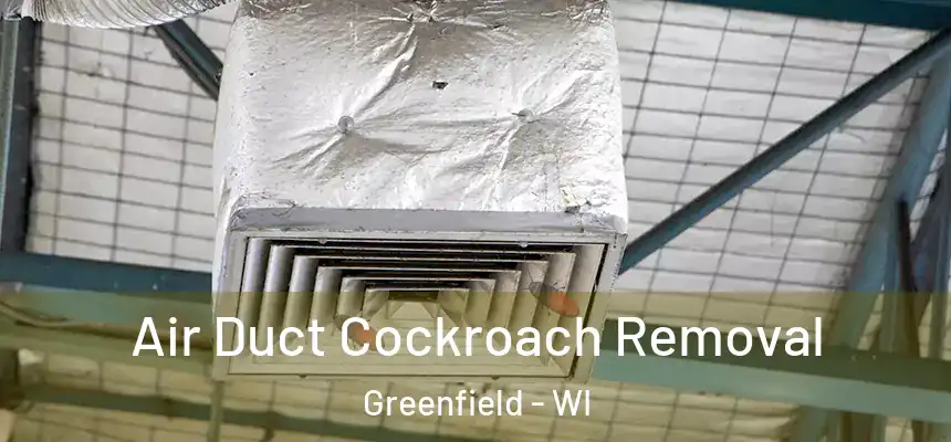 Air Duct Cockroach Removal Greenfield - WI