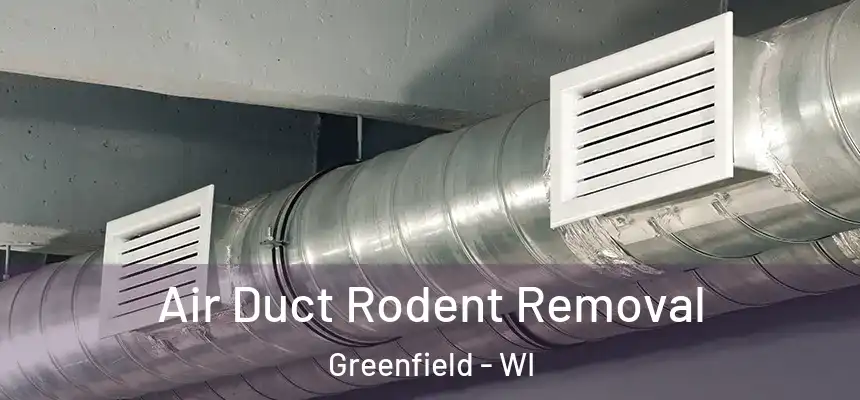  Air Duct Rodent Removal Greenfield - WI