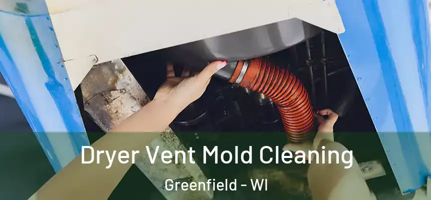 Dryer Vent Mold Cleaning Greenfield - WI