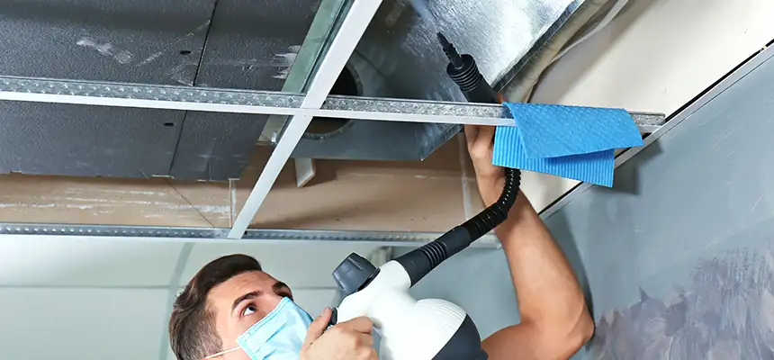 Our Air Duct Rodent Removal Services in Greenfield, WI