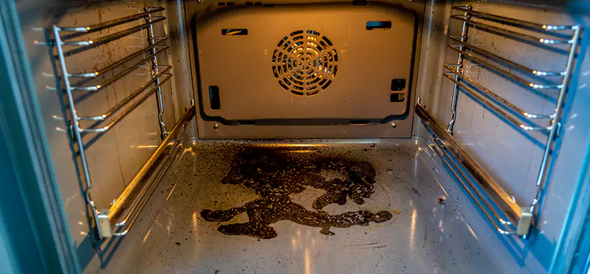 Our Dryer Vent Mold Cleaning Services in Greenfield, WI