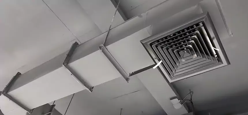 Our Pest Removal From Ducts Services in Greenfield, WI