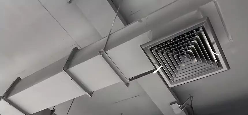 Our Rodent Droppings In Vents Services in Greenfield, WI