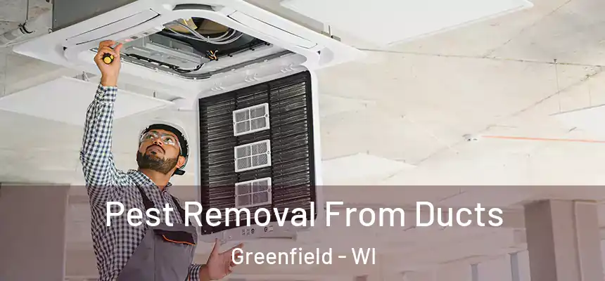 Pest Removal From Ducts Greenfield - WI