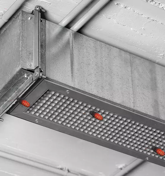 About Air Duct Cockroach Removal in Greenfield, WI