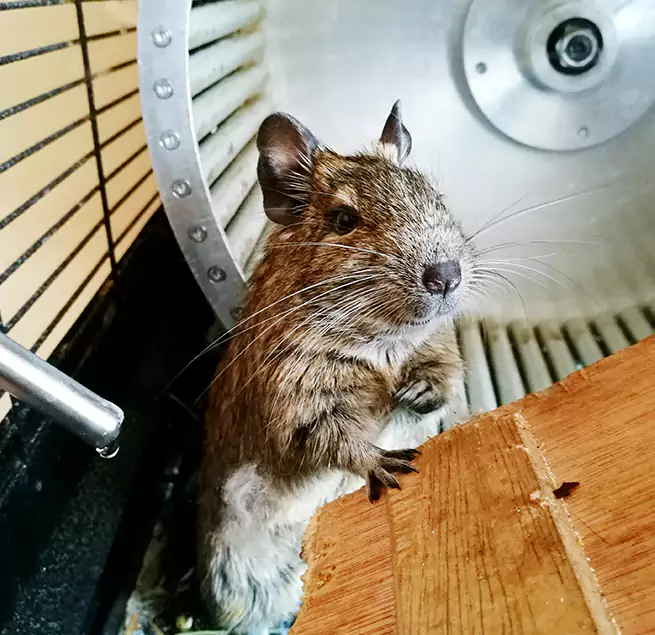 Why Homeowners & Businesses Trust Us Greenfield, WI?